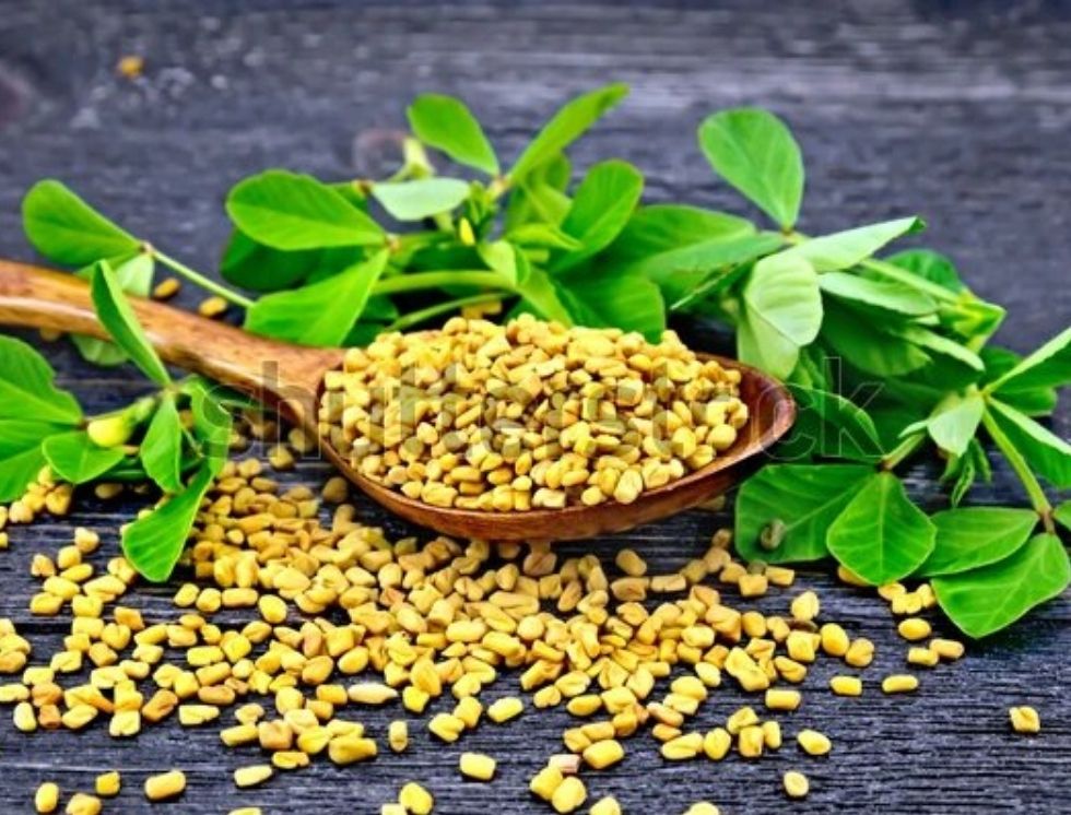 fenugreek seeds