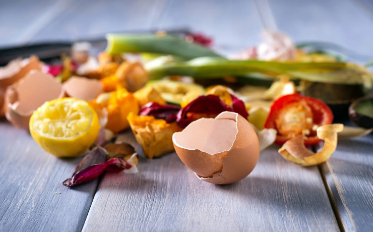 Common household items as plant fertilizers - Hashtag Magazine