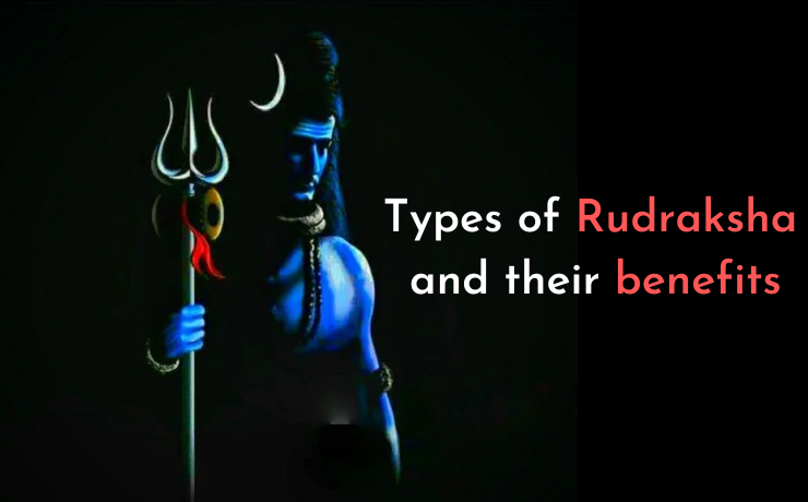 Types of Rudraksha and their benefits - Hashtag Magazine