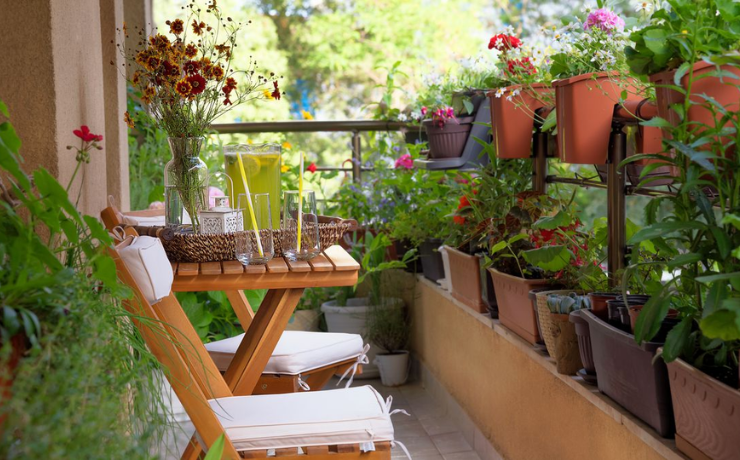 Small Space Gardening In Urban Environments - Hashtag Magazine