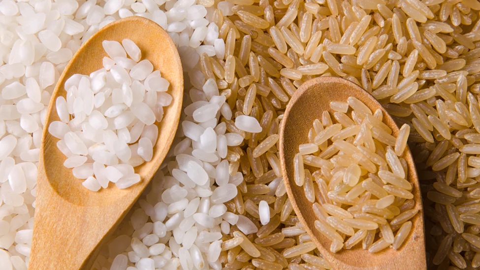 White Rice vs. Brown Rice: Unveiling the Nutritional Showdown