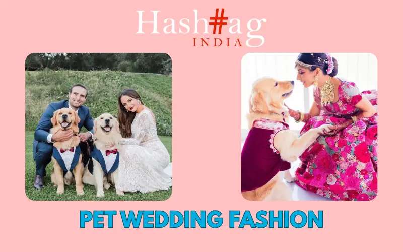 Pawfectly Dressed: Wedding Fashion for Your Four-Legged Guests