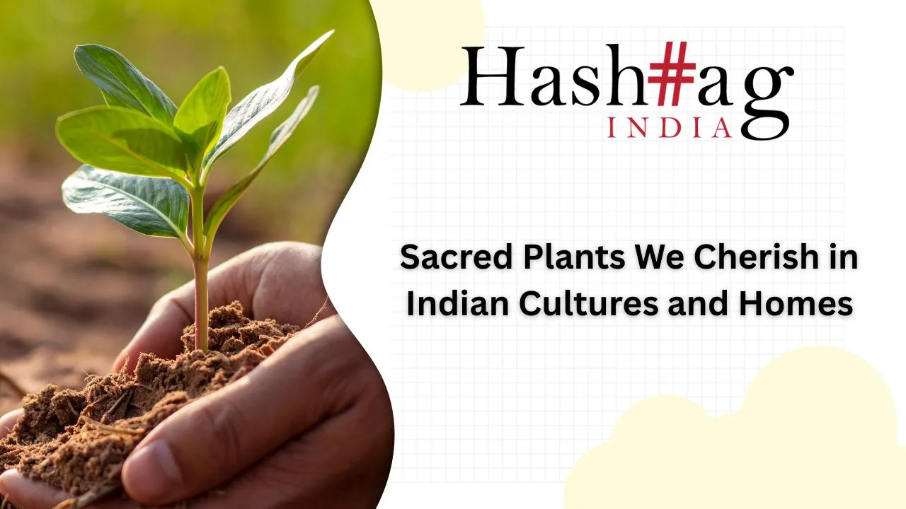 Sacred Plants We Cherish in Indian Cultures and Homes