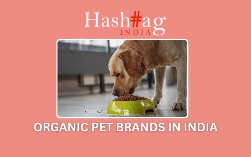 Top Indian Brands Leading The Organic Pet Care