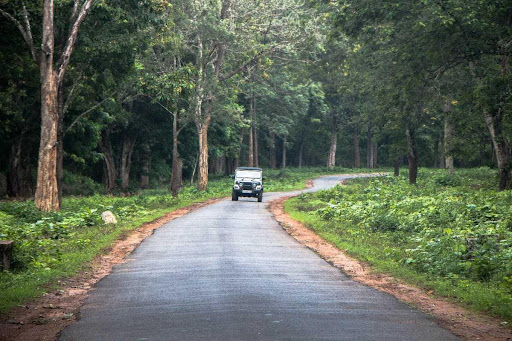 3. Bangalore to Coorg